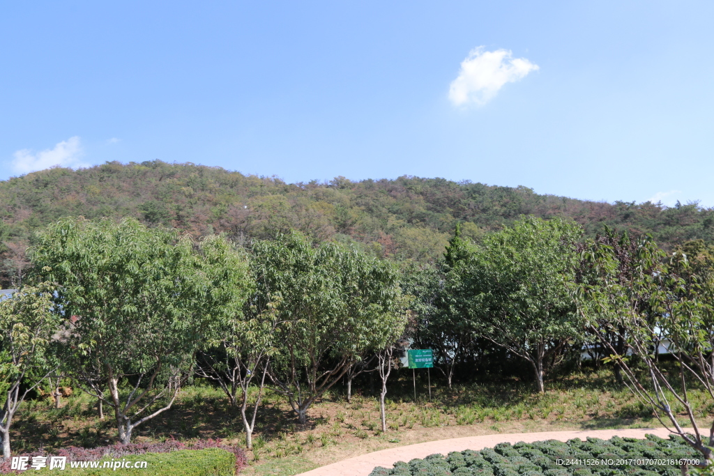 蓝天白云草地