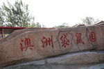 澳洲袋鼠园
