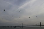 星海广场
