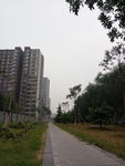小园