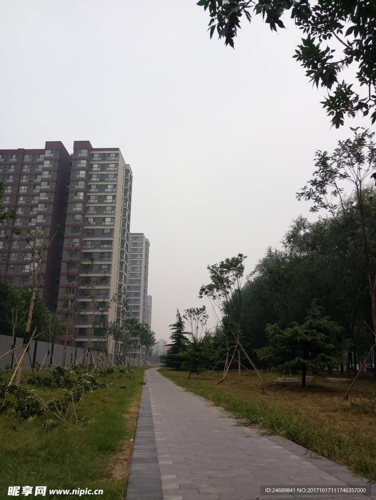 小园