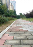 公园小路