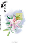 画册 丹青  水墨画