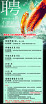 公司展架