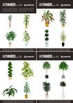 室内植物模型