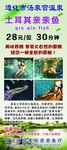 温泉宫