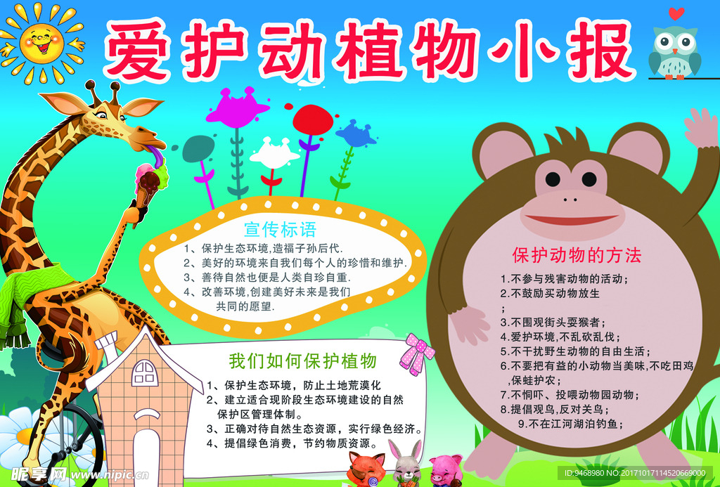 爱护动物环保小报