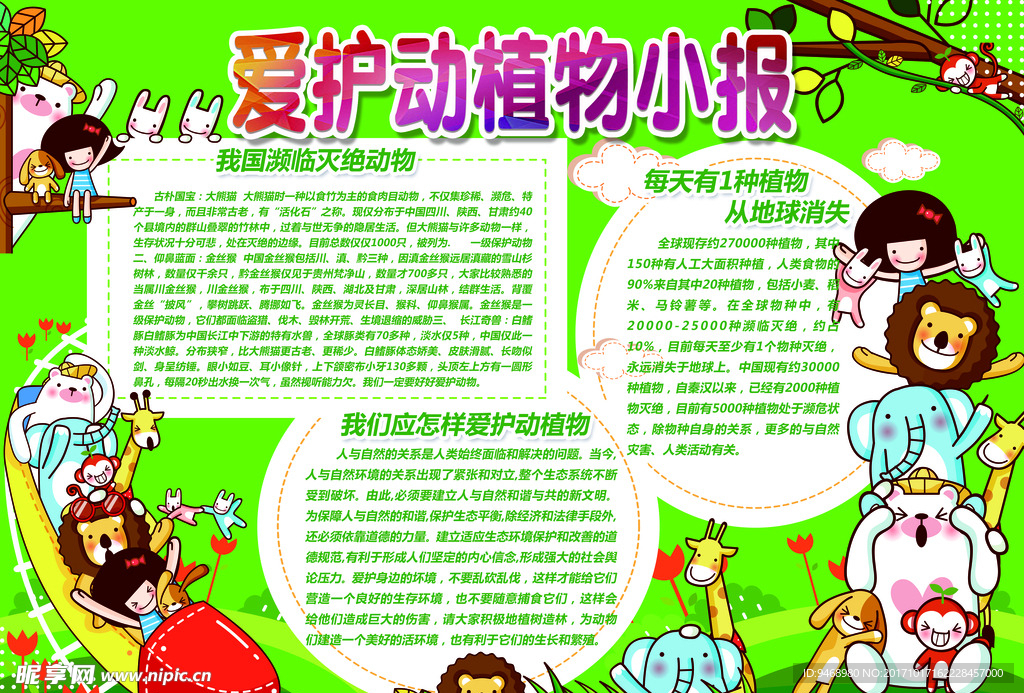 爱护动物小报