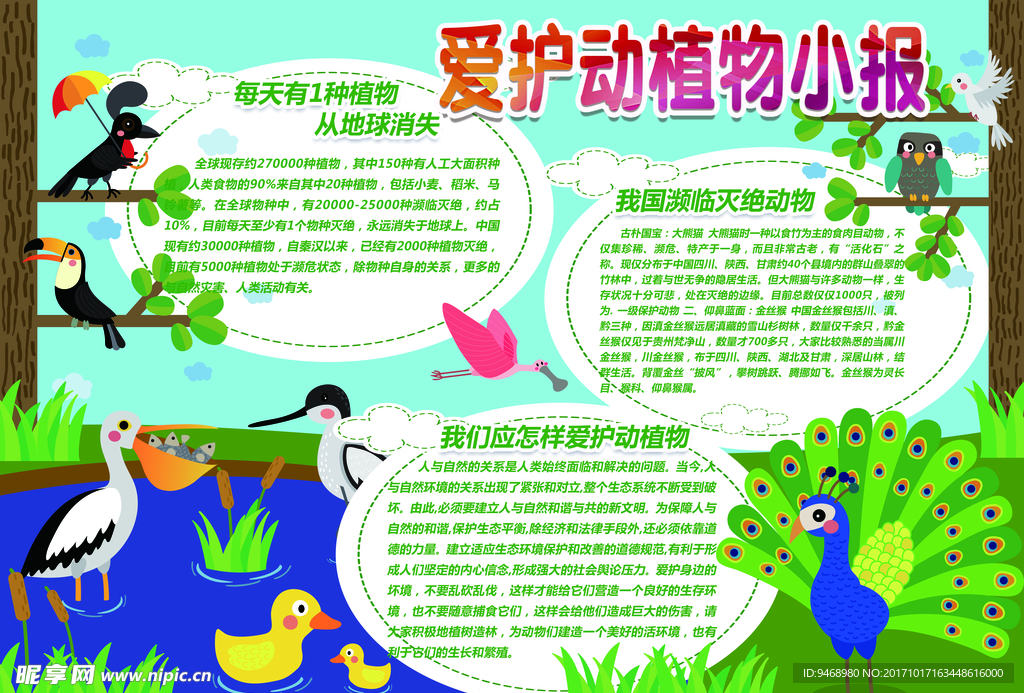 爱护动物小报