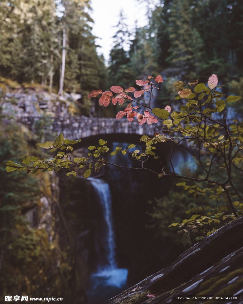 瀑布美景