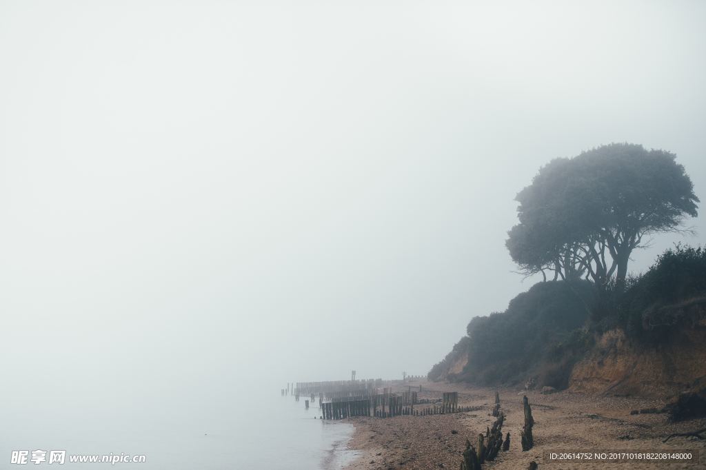 河边的风景