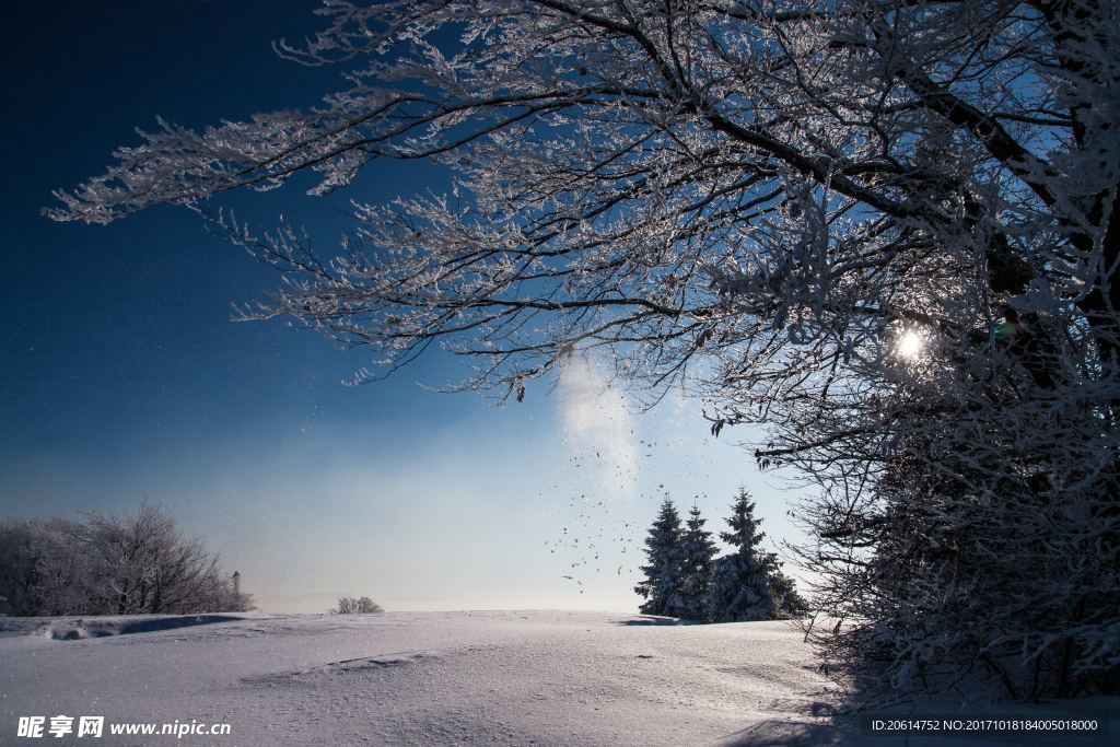 冬日里的雪景