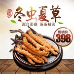 冬虫夏草补品食品主图直通车图