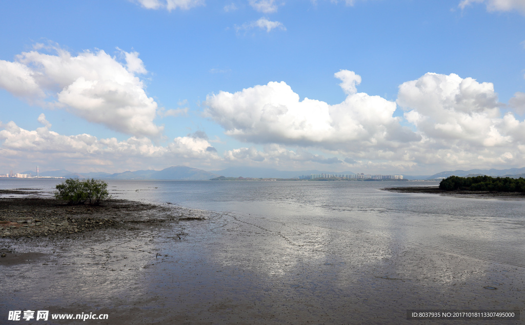 深圳湾公园