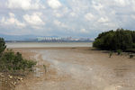 深圳湾公园