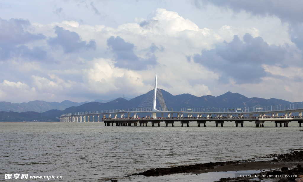 深圳湾公路大桥