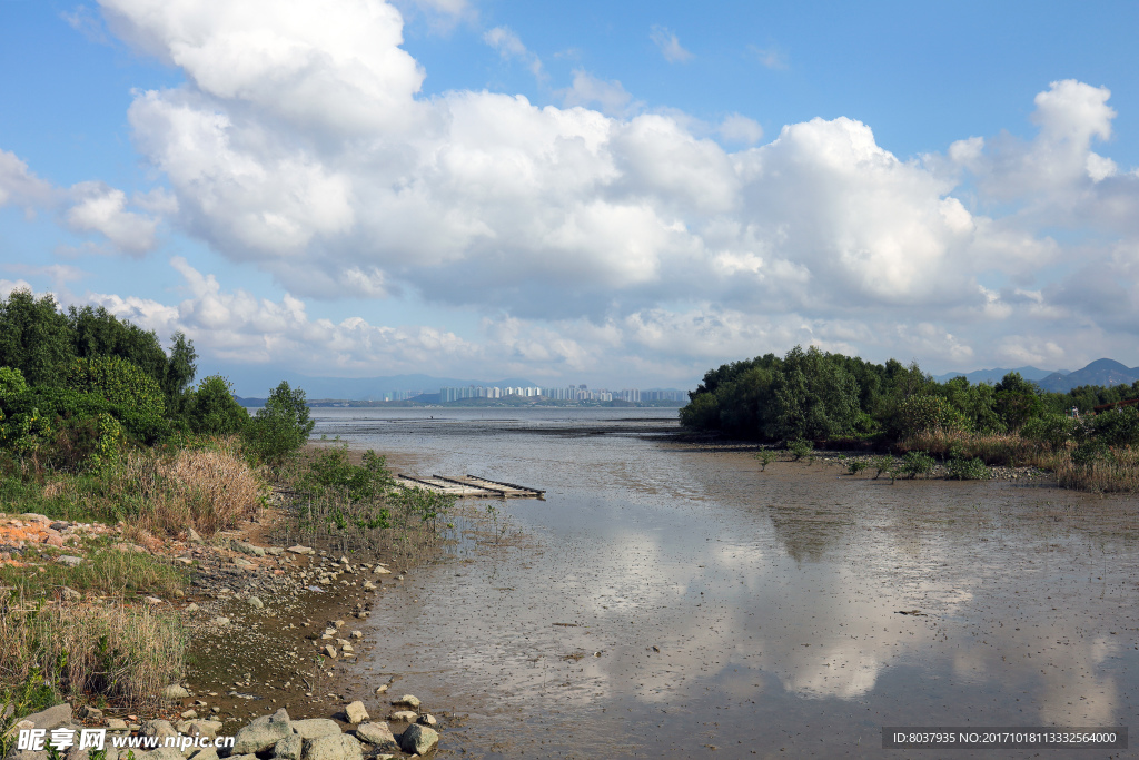 深圳湾公园