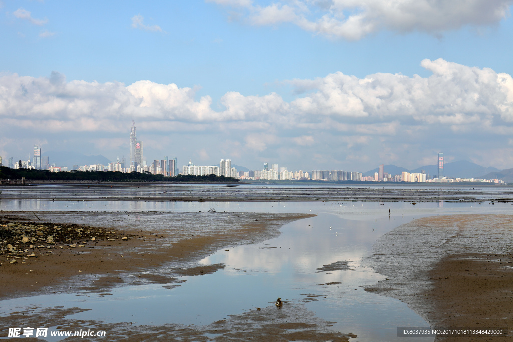 深圳湾公园