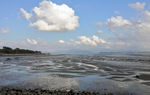 深圳湾公园