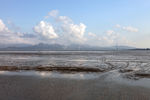 深圳湾公园