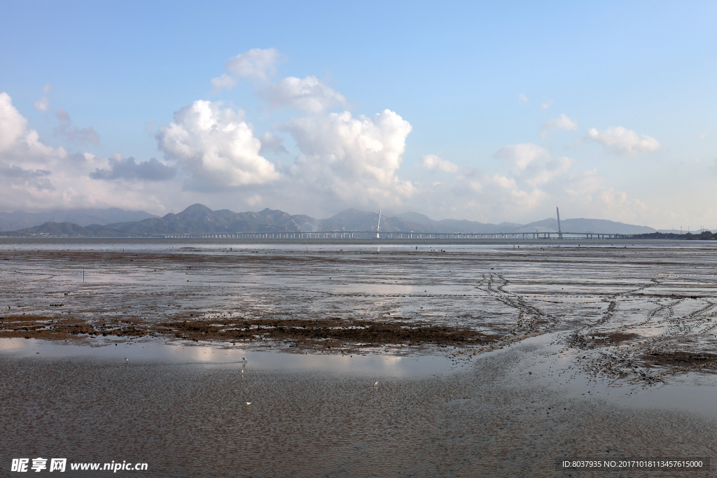 深圳湾公园