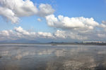 深圳湾公园