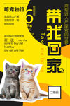 宠物之家 新店开业海报
