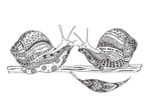 手绘线描黑白动物矢量图下载