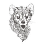 手绘线描黑白动物矢量图下载
