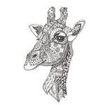 手绘线描黑白动物矢量图下载