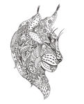 手绘线描黑豹动物矢量图下载
