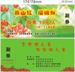 樱桃园门票设计