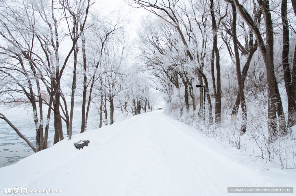 大雪天的道路