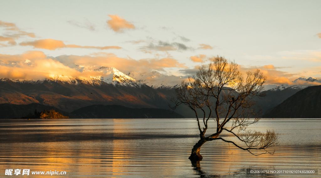 湖光美景