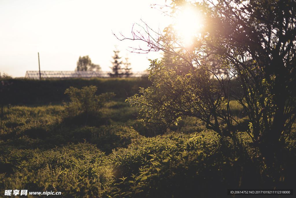 夕阳风景