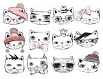 可爱的猫