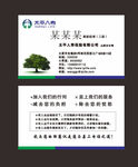 太平名片展板设计