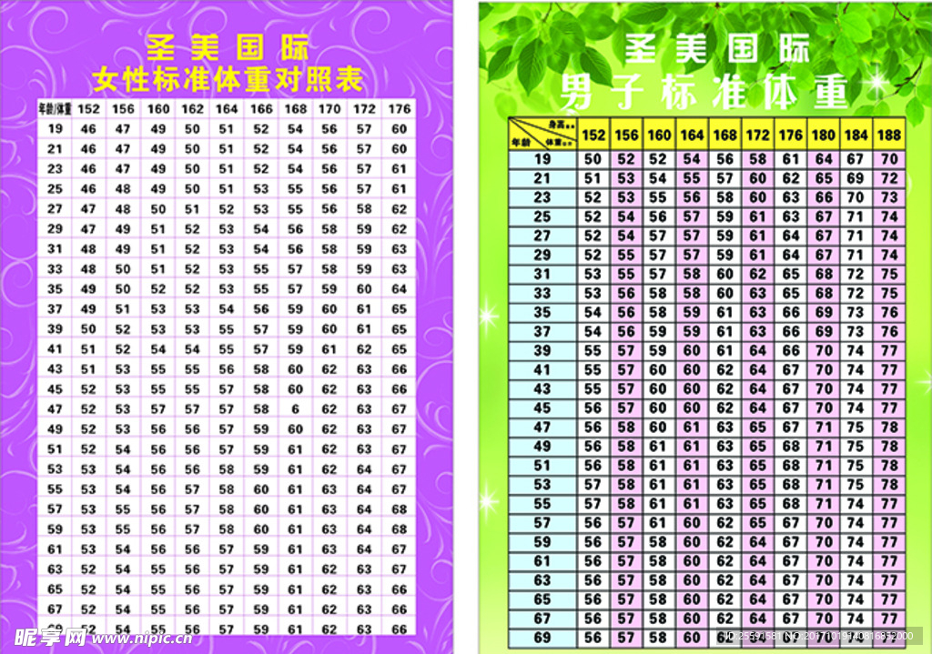 圣美 国际减肥对照表