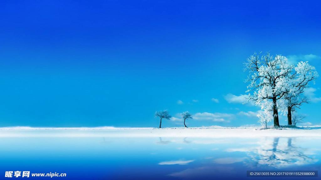 雪景
