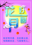 花好月圆