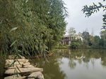 湖边风景