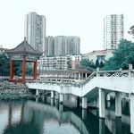 树木