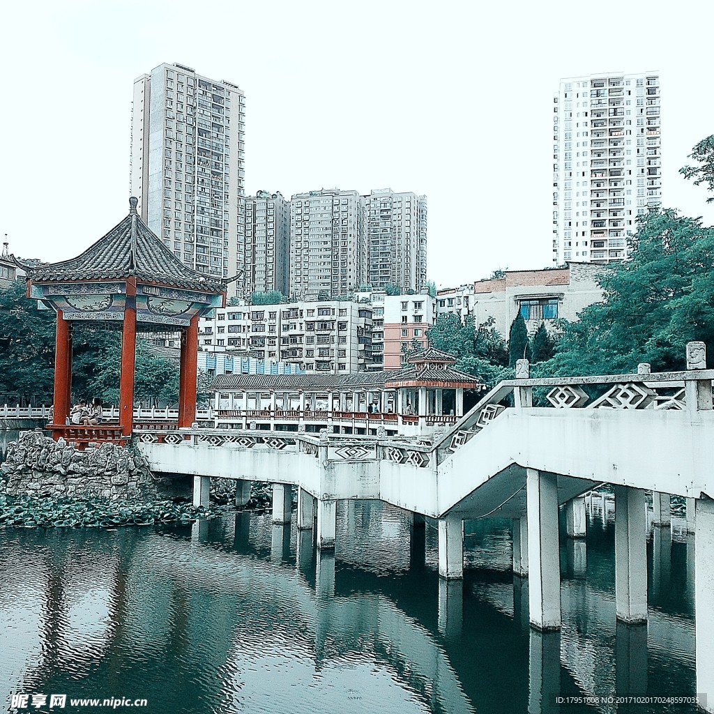 树木