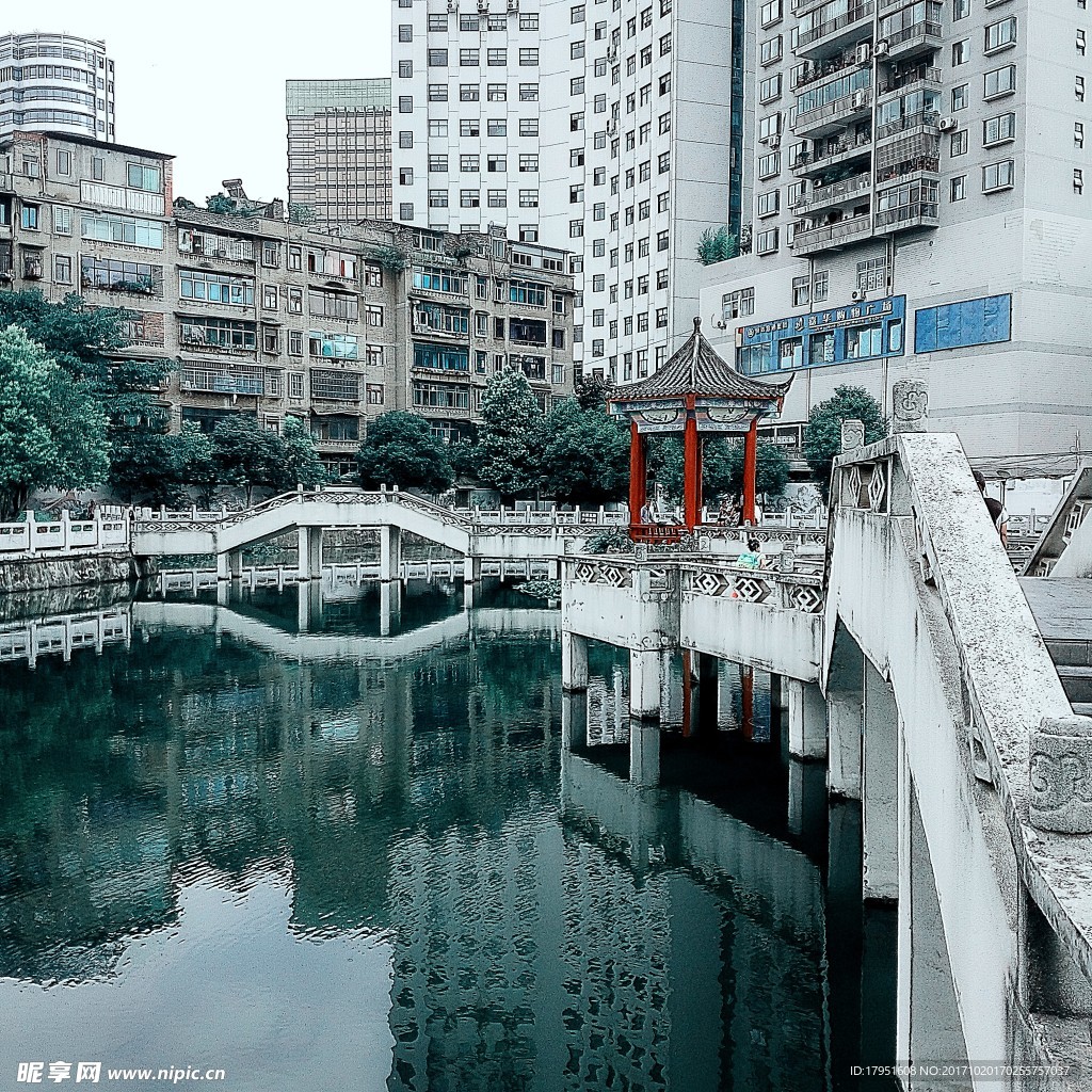 树木