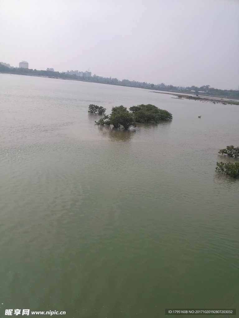 风景