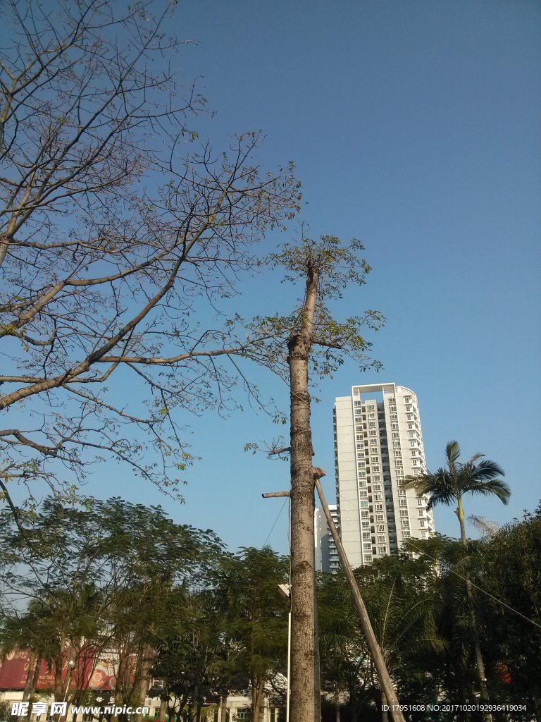 风景