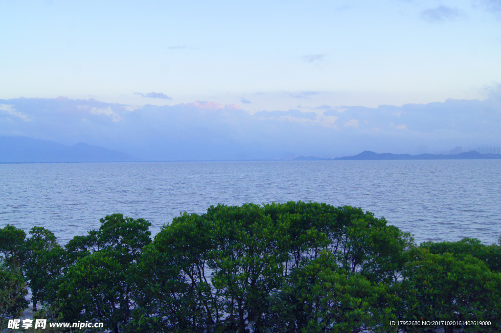 大海晚安