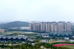 大运会