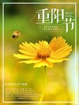 重阳节