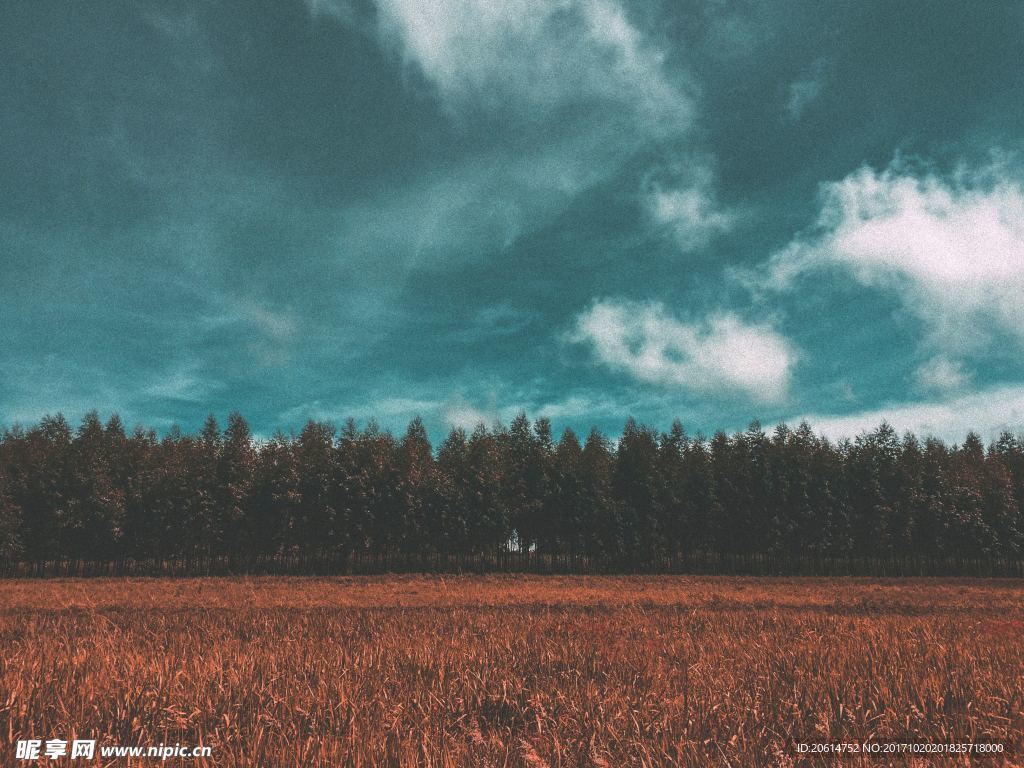 草原美景